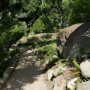 Wooded Dell, looking down Campbell Trail