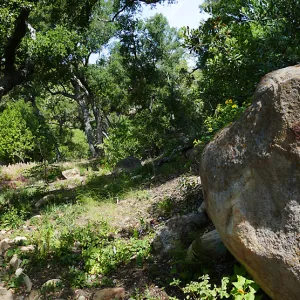 Wooded Dell, panoramic view along Campbell Trail