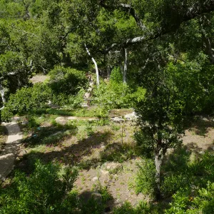 Wooded Dell, view from picnic area