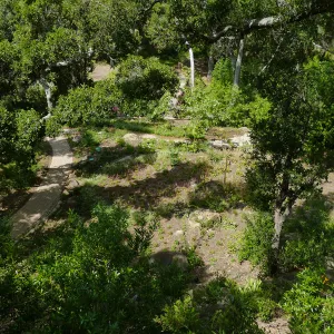 Wooded Dell, view from picnic area