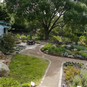 Home Demonstration Garden Renovation, view 29, looking east from deck