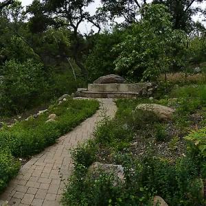Wooded Dell panorama with Campbell Bridge and Campbell Bench