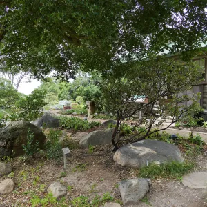 Home Demonstration Garden Renovation, view 7, east of Cottage