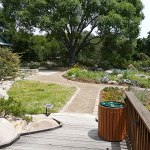 Home Demonstration Garden Renovation, view 27, looking east from deck