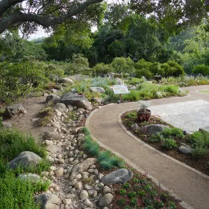 Home Demonstration Garden Renovation, view 34, southeast portion of display from east of Cottage