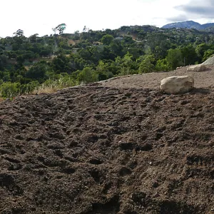 Island View Garden Installation, panorama from boulder near south steps