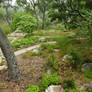 Wooded Dell