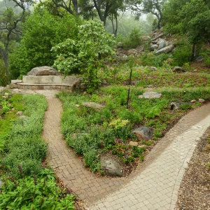 Wooded Dell