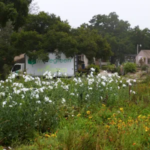 Moving van for move to new Pritzlaff Conservation Center