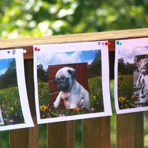 Baby Shower for Laura Muasher, Who Is That Baby? game