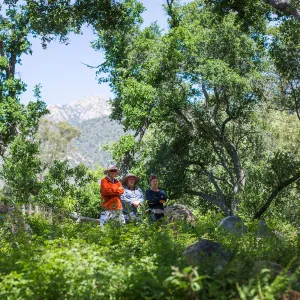 Cultivating the Wild: Native Gardens Tour and 90th Birthday Celebration