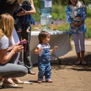 Cultivating the Wild: Native Gardens Tour and 90th Birthday Celebration