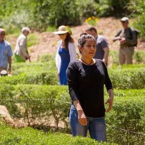 Cultivating the Wild: Native Gardens Tour and 90th Birthday Celebration, Centennial Maze