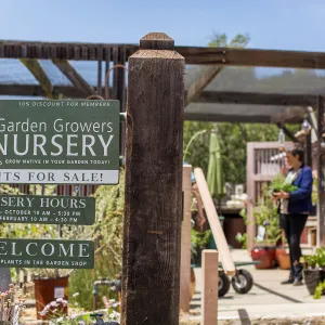 Cultivating the Wild: Native Gardens Tour and 90th Birthday Celebration