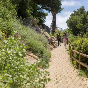 Cultivating the Wild: Native Gardens Tour and 90th Birthday Celebration, Campbell Trail