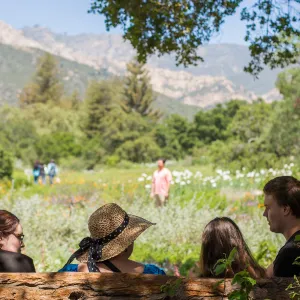 Cultivating the Wild: Native Gardens Tour and 90th Birthday Celebration