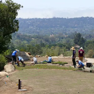 Volunteers and staff planting the new Island View Garden