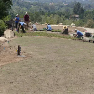 Volunteers and staff planting the new Island View Garden