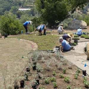 Volunteers and staff planting the new Island View Garden
