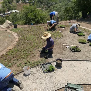 Volunteers and staff planting the new Island View Garden
