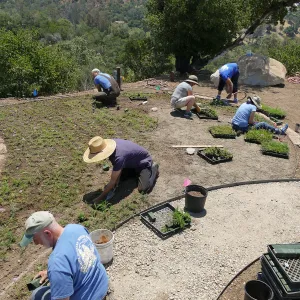 Volunteers and staff planting the new Island View Garden