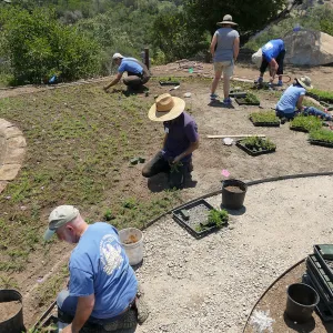 Volunteers and staff planting the new Island View Garden
