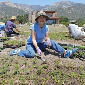 Volunteers and staff planting the new Island View Garden
