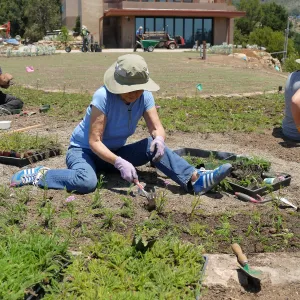 Volunteers and staff planting the new Island View Garden