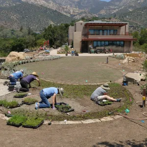 Volunteers and staff planting the new Island View Garden