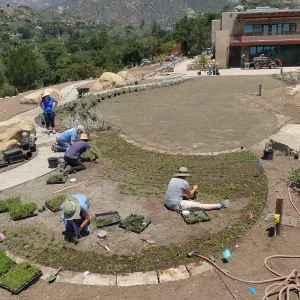 Volunteers and staff planting the new Island View Garden