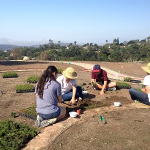 Volunteers planting the new Island View Garden