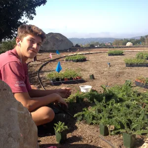 Volunteers planting the new Island View Garden