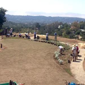 Volunteers and staff planting the new Island View Garden