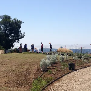 Volunteers and staff planting the new Island View Garden