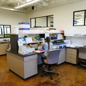 Pritzlaff Conservation Center Construction, looking southeast across wet lab area
