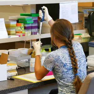 SBCC Intern working in the Pritzlaff Conservation Center Genetics Lab