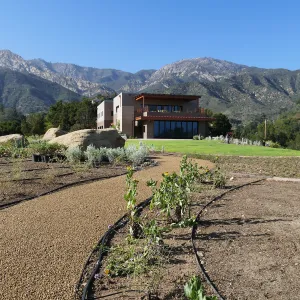 Pritzlaff Conservation Center looking north from the Island View Garden