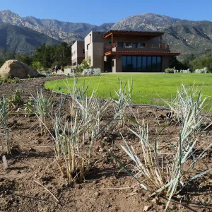 Pritzlaff Conservation Center looking north from the Island View Garden