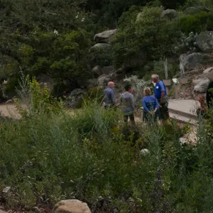 Member Appreciation Month, Full Moon Hike, hikers in Arroyo Section