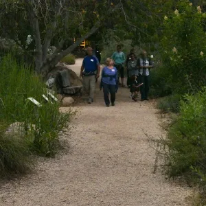 Member Appreciation Month, Full Moon Hike, hikers in Arroyo Section