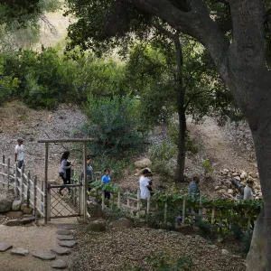 Member Appreciation Month, Full Moon Hike, hikers near Tea House