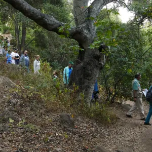 Member Appreciation Month, Full Moon Hike, hikers in Canyon