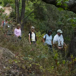 Member Appreciation Month, Full Moon Hike, hikers in Canyon