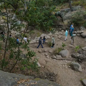 Member Appreciation Month, Full Moon Hike, hikers at lower creek crossing