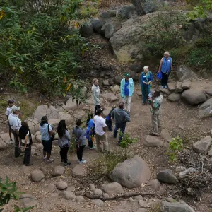 Member Appreciation Month, Full Moon Hike, hikers at lower creek crossing