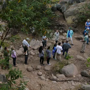 Member Appreciation Month, Full Moon Hike, hikers at lower creek crossing