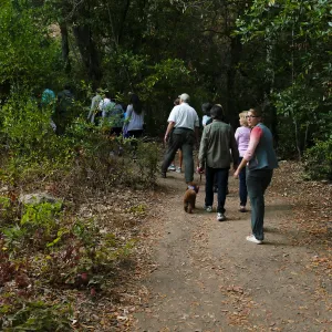 Member Appreciation Month, Full Moon Hike, hikers in Canyon