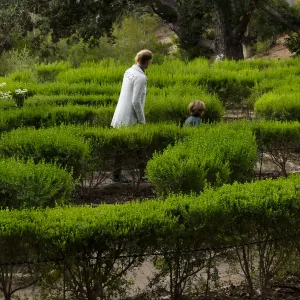 Member Appreciation Month, Full Moon Hike, Centennial Maze