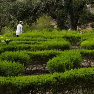 Member Appreciation Month, Full Moon Hike, Centennial Maze