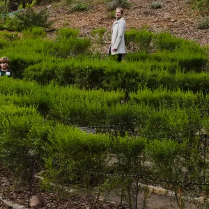 Member Appreciation Month, Full Moon Hike, Centennial Maze